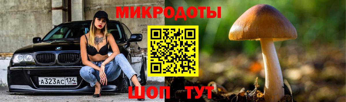 Галлюциногенные грибы GOLDEN TEACHER Дзержинский